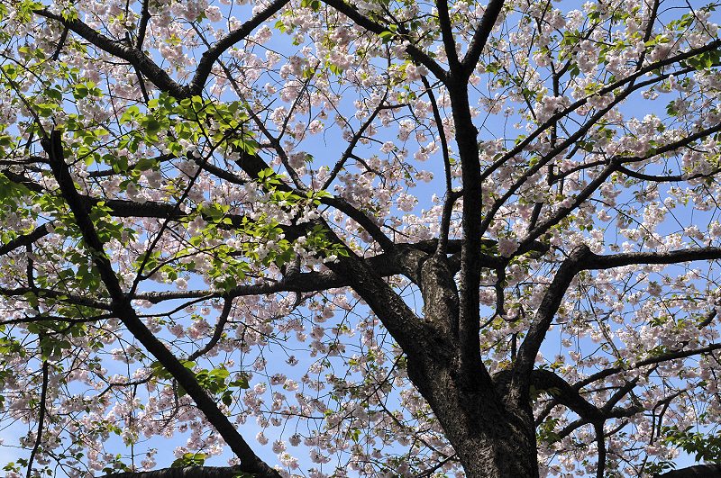 image0098