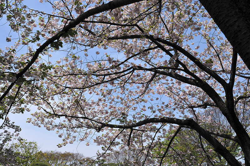 image0100