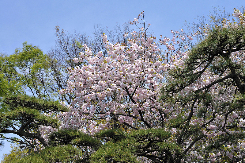 image0112
