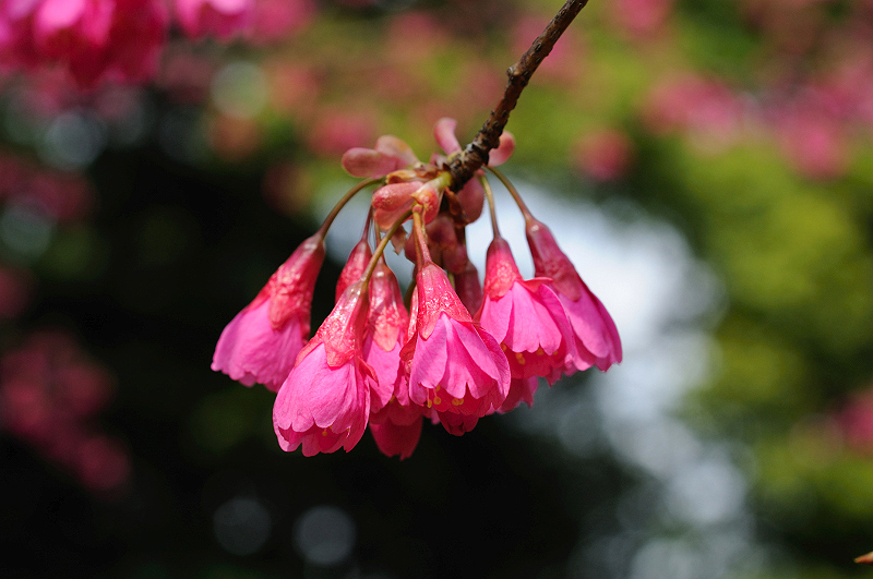image0102