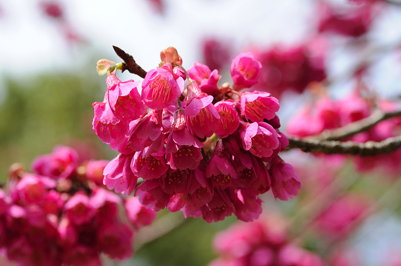image0105