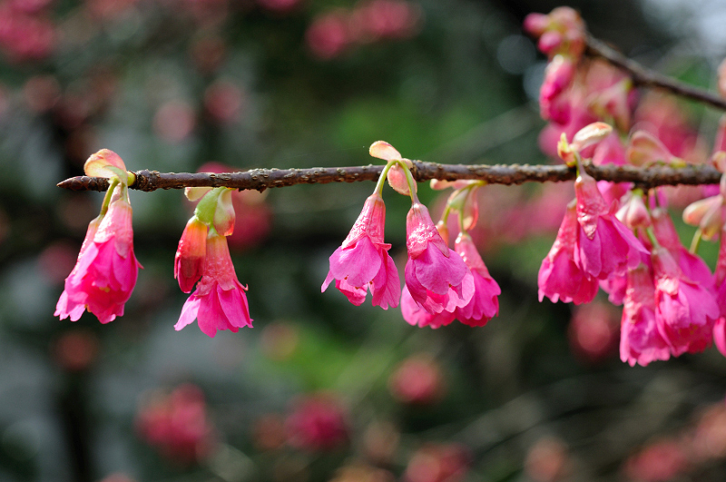 image0115