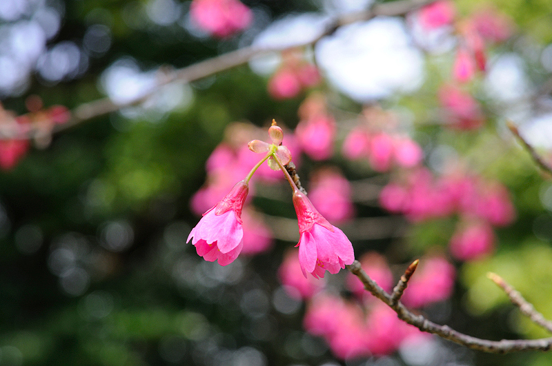 image0131