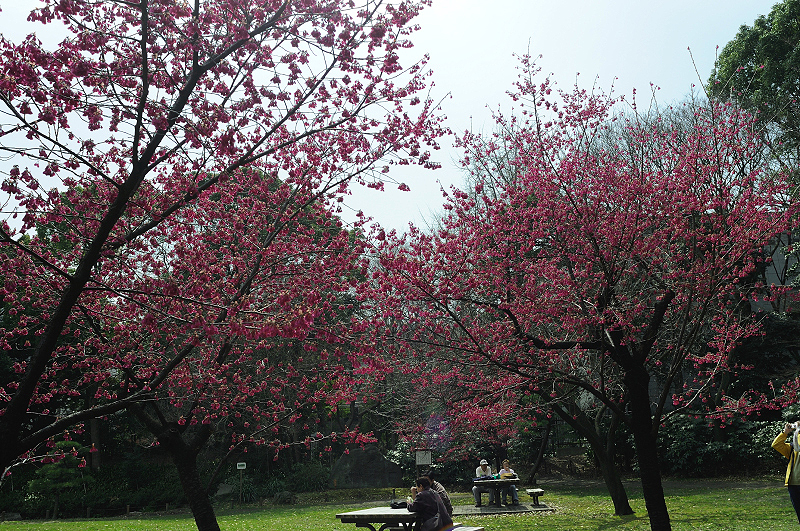image0137