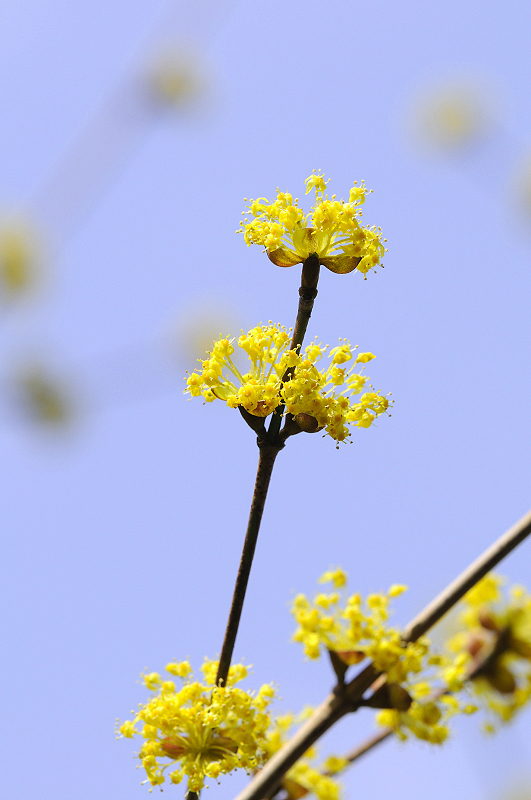 image0158