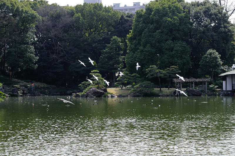 image0184