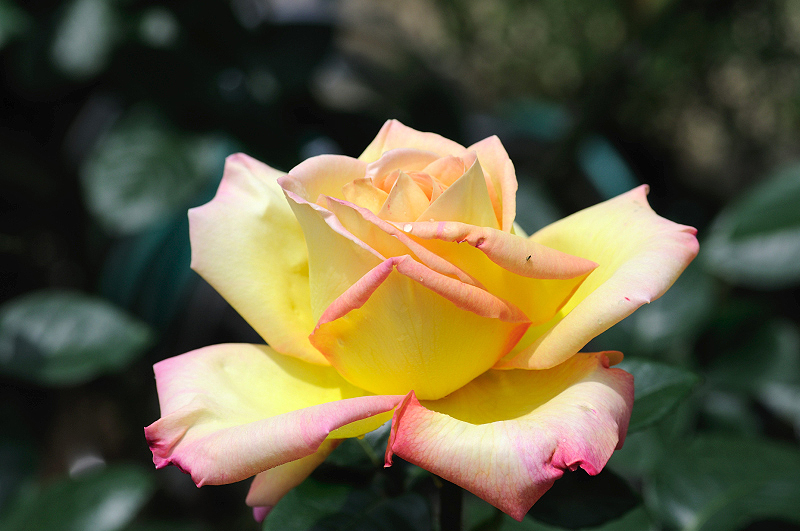 image0108