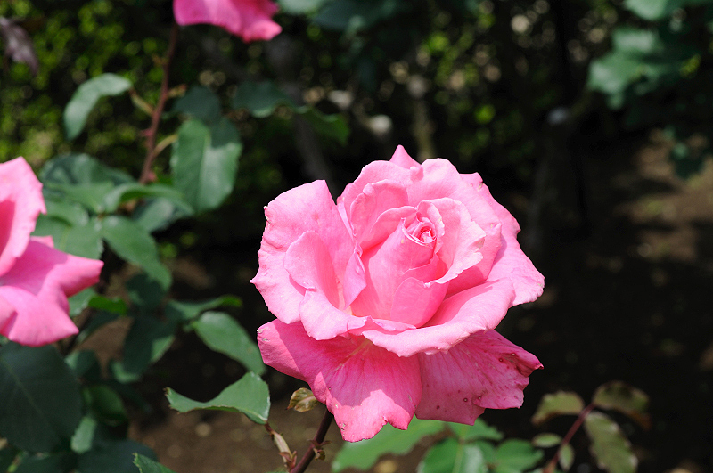 image0126