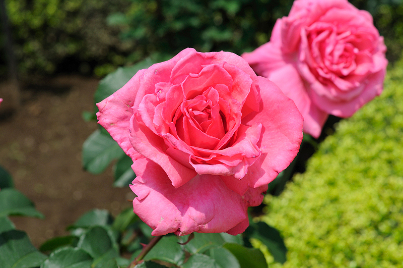 image0130