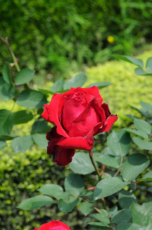 image0138