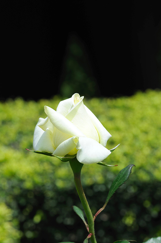 image0141