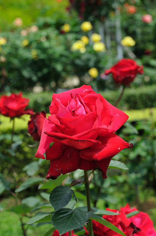 image0146