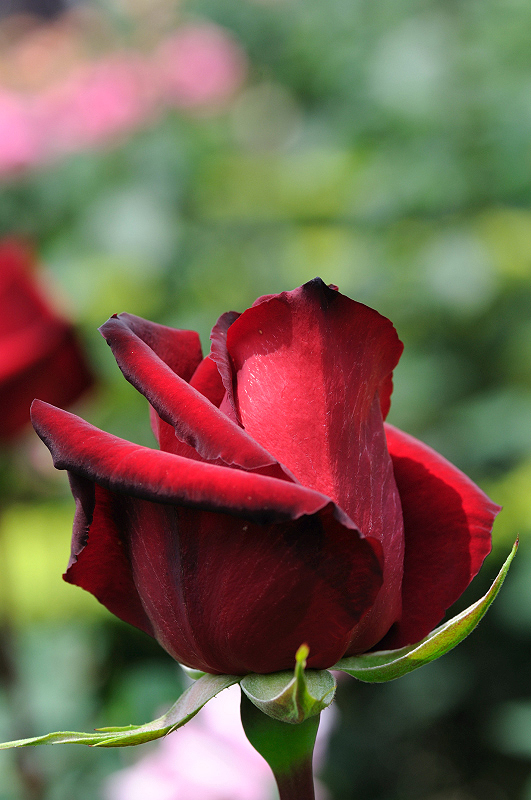 image0154