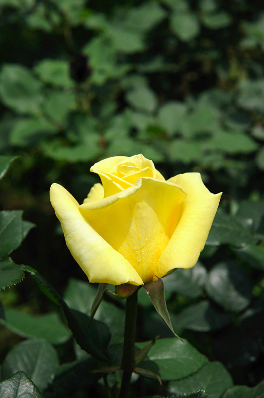 image0169