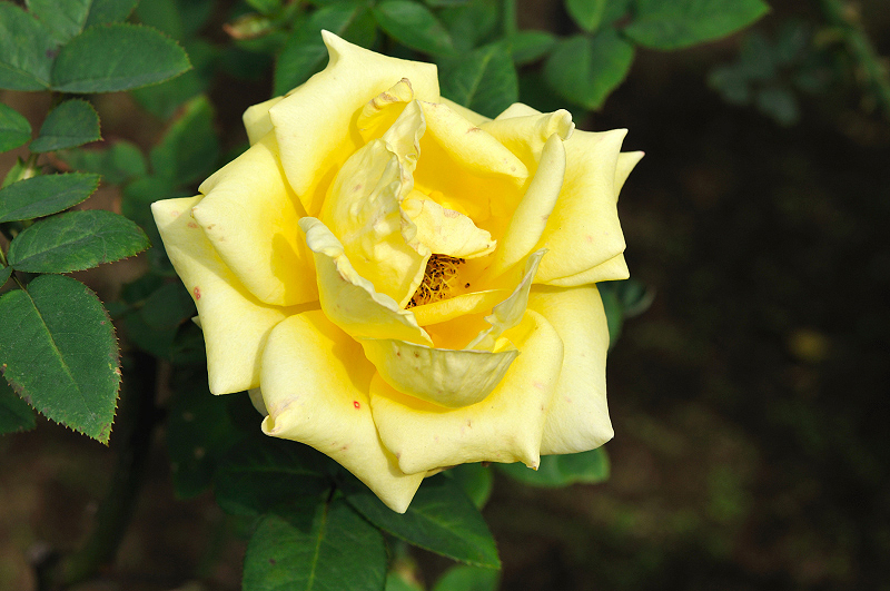 image0119