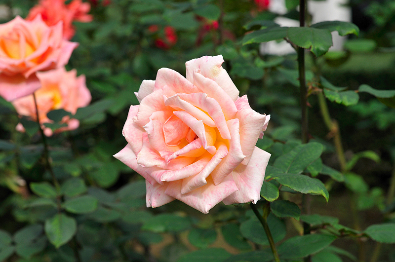 image0122
