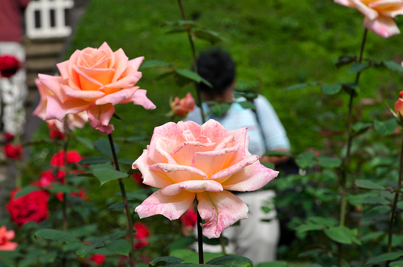 image0123