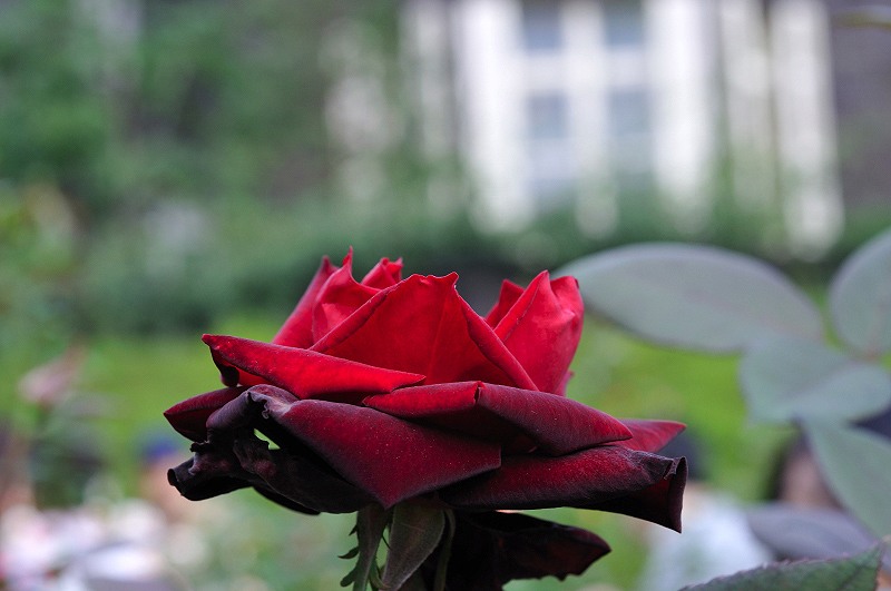 image0133