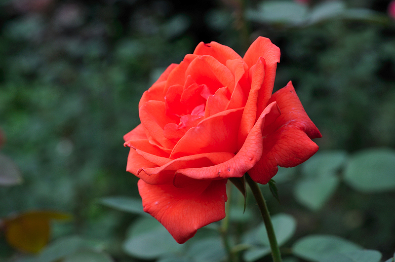 image0140