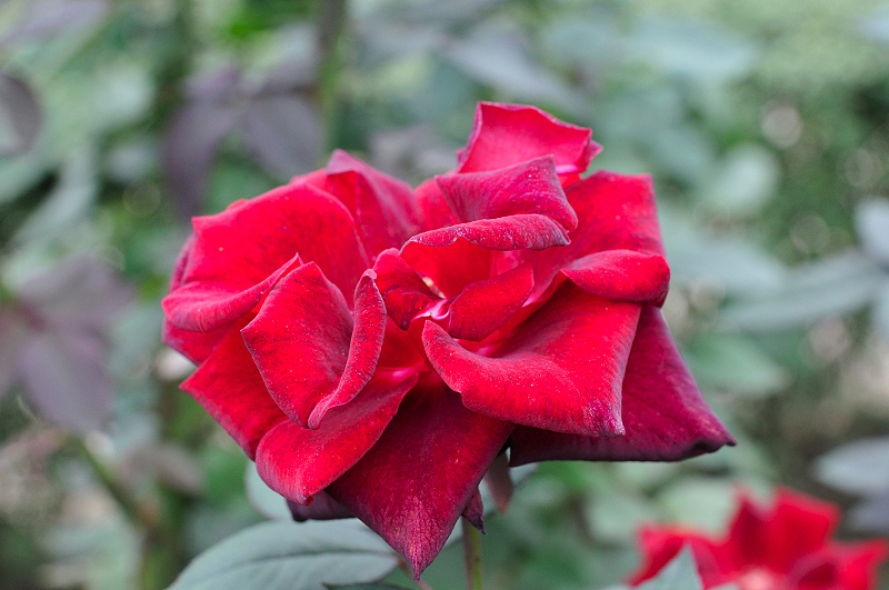 image0145