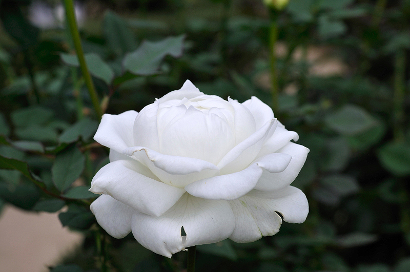 image0150