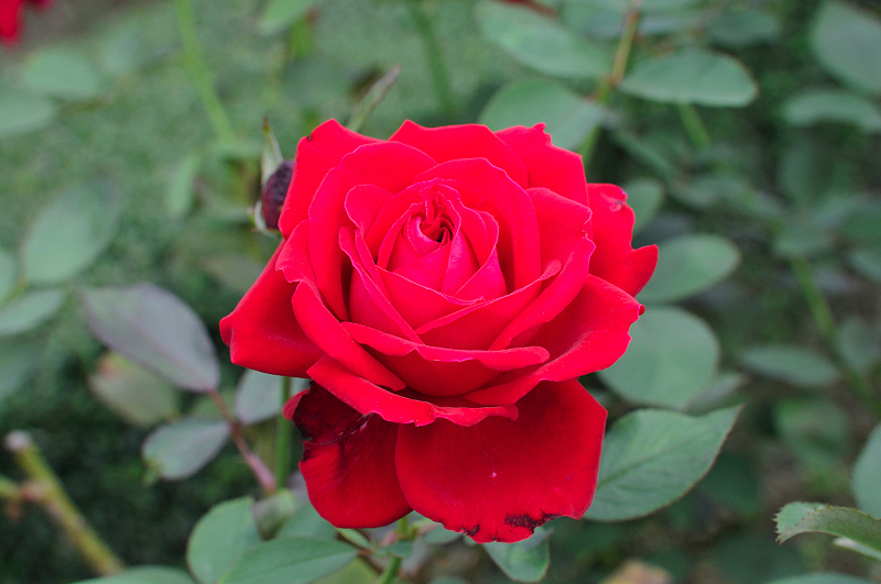 image0151