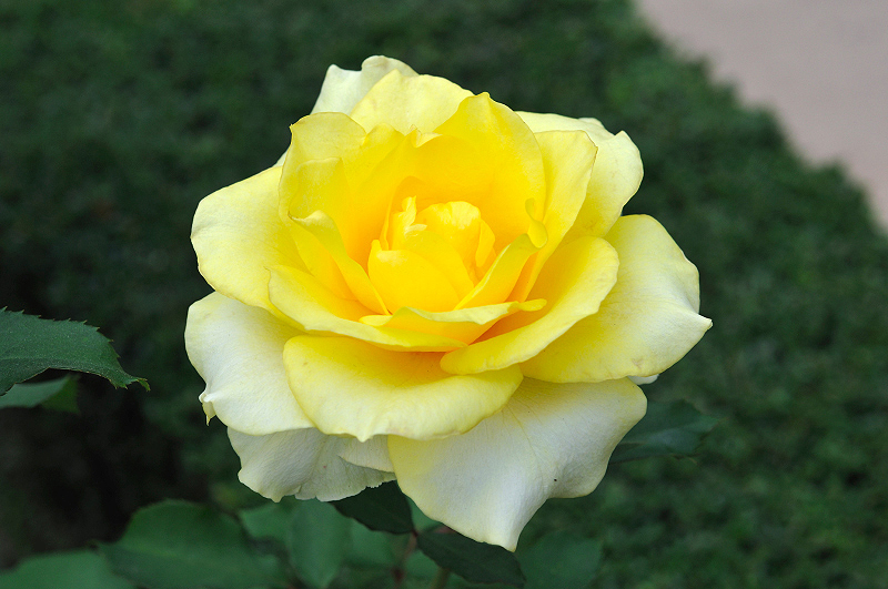 image0156