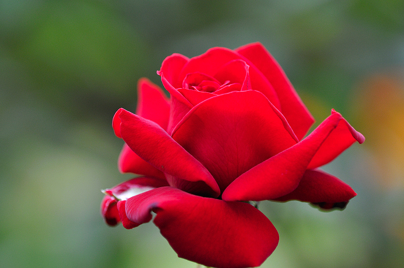 image0211