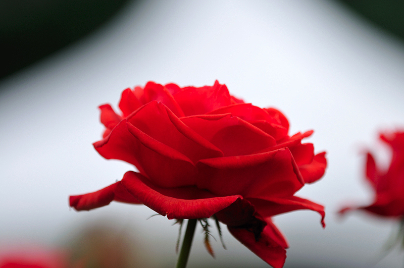image0218