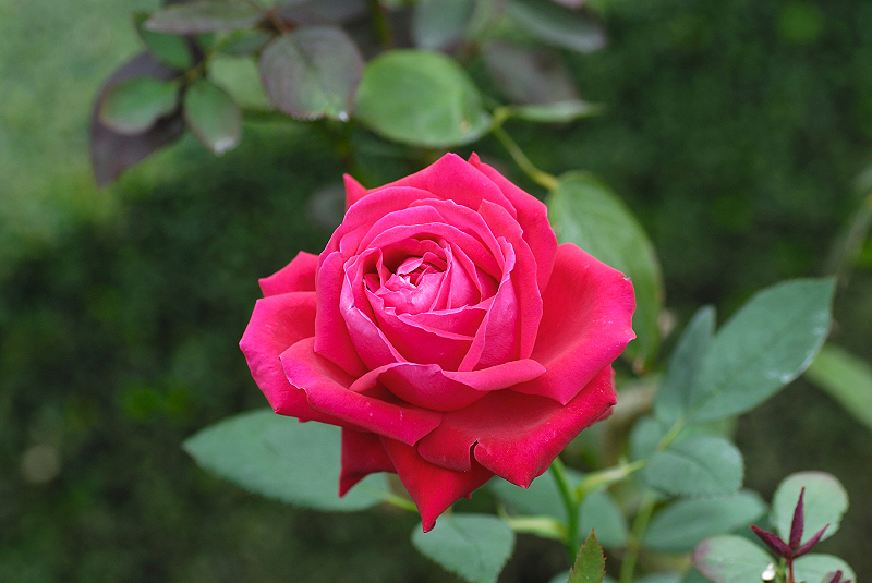 image0097