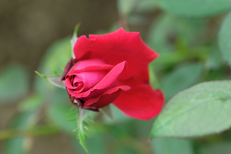 image0098