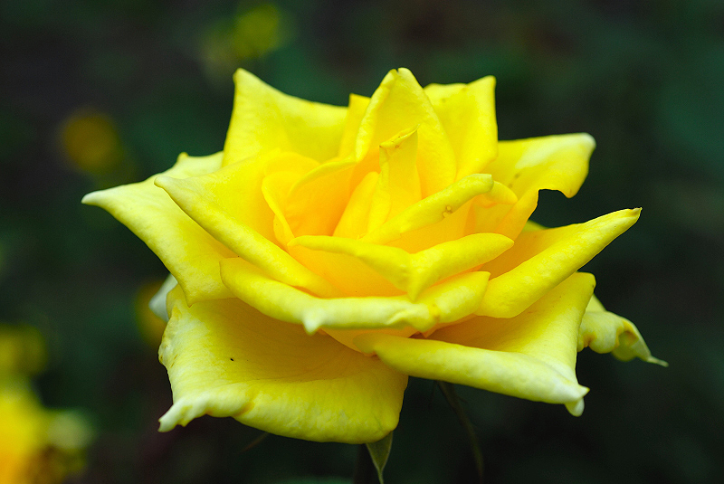 image0114