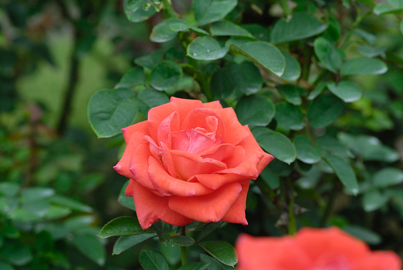 image0127