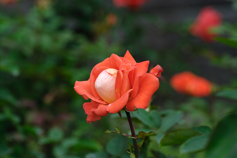 image0128