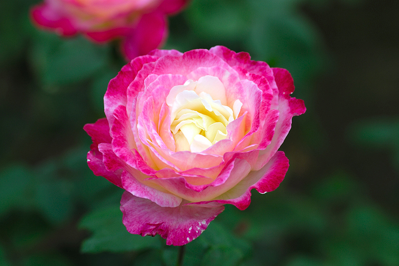 image0138