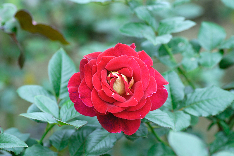 image0142