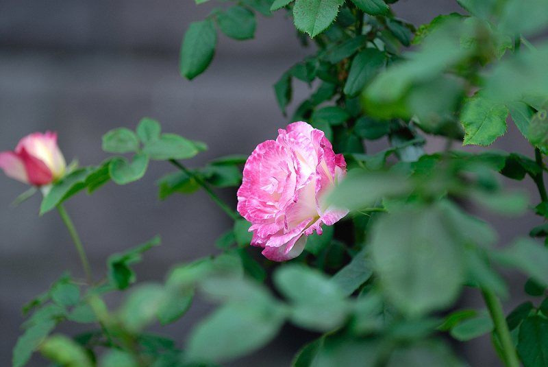 image0145