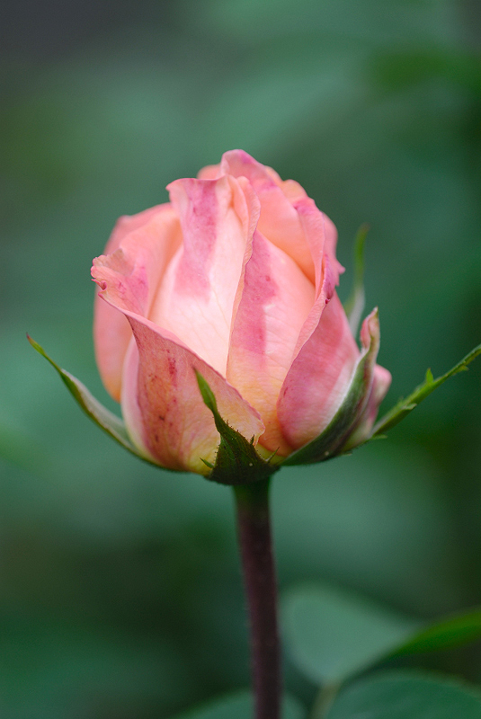 image0148