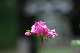 image0168