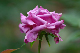 image0170