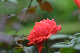 image0176