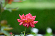 image0177