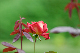 image0179