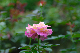 image0182