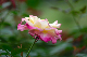 image0185