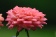 image0187