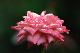 image0189
