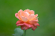 image0190