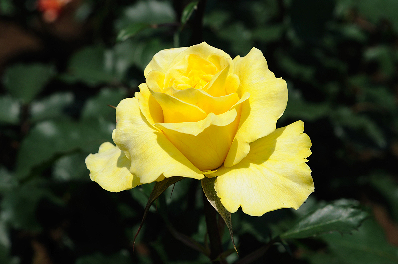 image0099