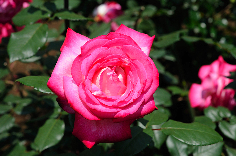 image0101